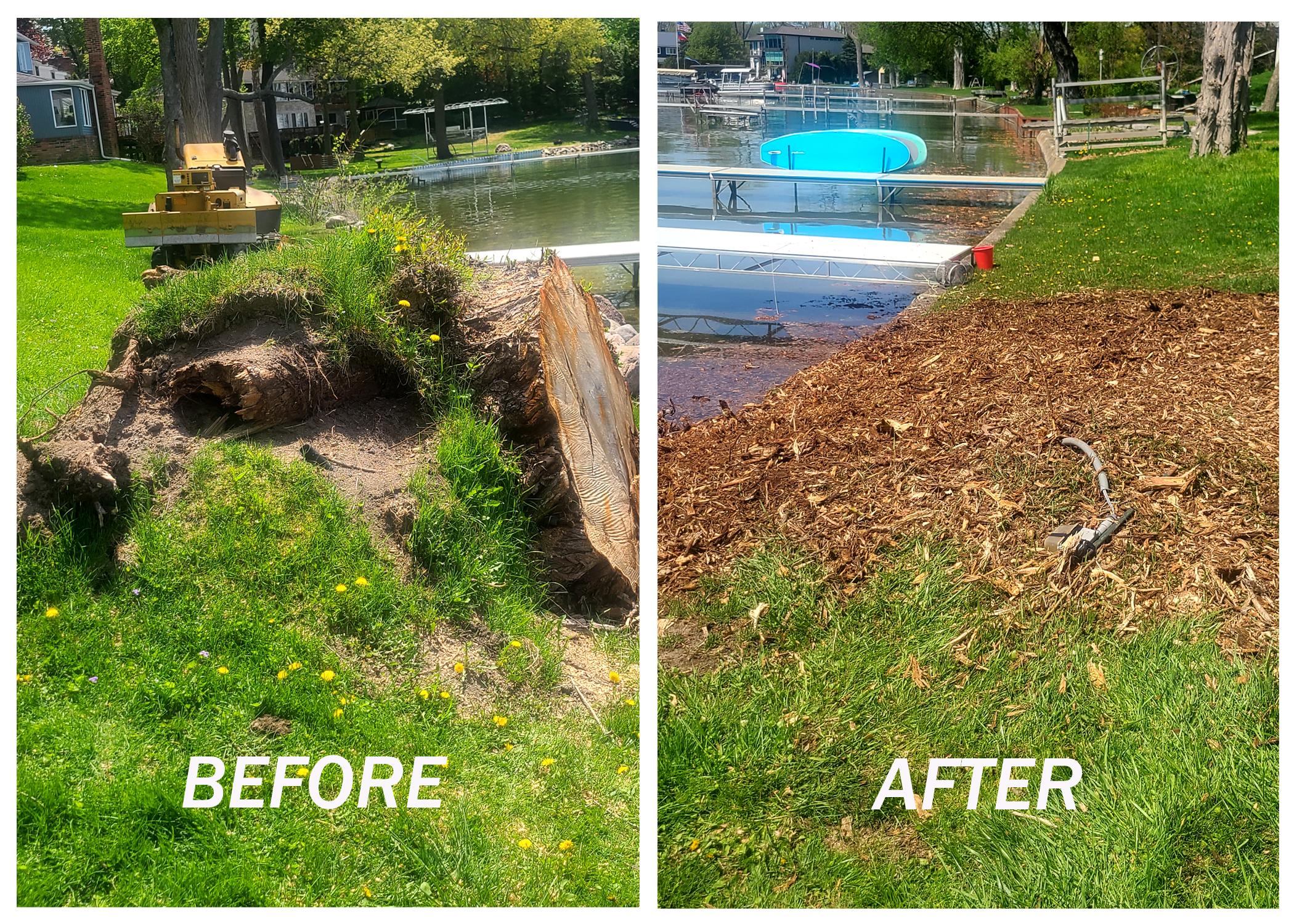 stump removal west bloomfield